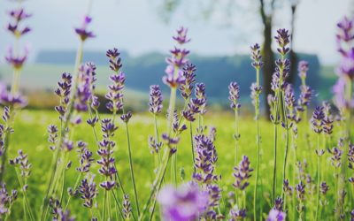 La confiance en soi : comment et pourquoi la renforcer ?
