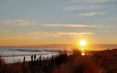 Comment développer un état d’esprit positif et cultiver une sensation de bien-être durable